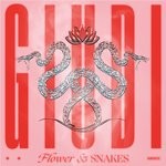 cover: Giudi - Flower & Snakes