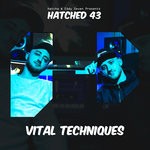 cover: Vital Techniques - Darkside