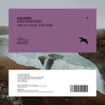 cover: Kaldera - Eissturmvogel