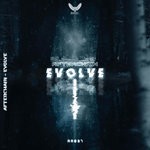 cover: Afterchain - Evolve