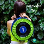 cover: Seen Vybe - Try