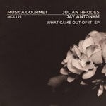 cover: Jay Antonym|Julian Rhodes - What Came Out Of It