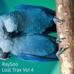 cover: Raysoo - Lost Trax Vol 4