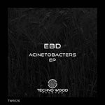 cover: Ebd - Acinetobacters EP