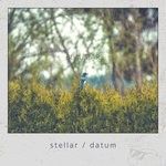 cover: Blaumar - Stellar/Datum