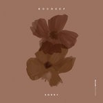 cover: Roudeep - Sorry