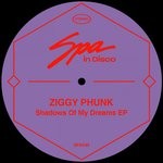 cover: Ziggy Phunk - Shadows Of My Dreams