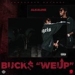 cover: Alkaline - We Up