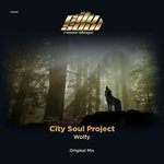 cover: City Soul Project - Wolfy