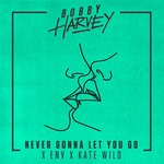 cover: Bobby Harvey|Env|Kate Wild - Never Gonna Let You Go