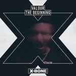 cover: Valour - The Beginning