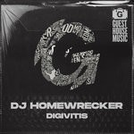 cover: Dj Homewrecker - Digivitis