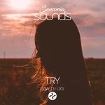 cover: Gow & Dj Lxs - Try