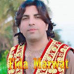 cover: Fida Marwat - Par Har Cha Gran Dai