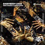 cover: Fabio Tavares & Lennon Satar - Everybody Likes