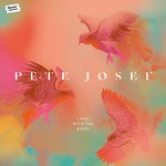 cover: Pete Josef - I Rise With The Birds