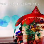 cover: Various - Tribal House Sound Pt 1 (Discover Tribal-House Rhythms)