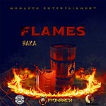 cover: Haka - Flames