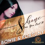 cover: Bowie & Fortuny - Shine