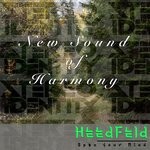 cover: Stereo Identity - New Sound Of Harmony