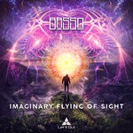 cover: Basso - Imaginary Flying Of Sight