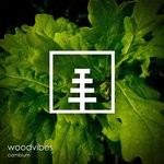 cover: Woodvibes - Cambium