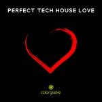 cover: Simone Bica|Various - Perfect Tech House Love