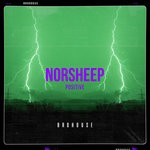 cover: Norsheep - Positive