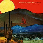 cover: Young Gun Silver Fox - Canyons