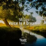 cover: Mldj - Voice In A Dream