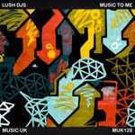 cover: Lush Djs - Music To Me