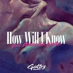 cover: Amanda Linde|Gatby - How Will I Know