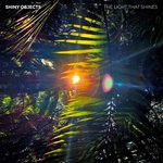 cover: Shiny Objects - The Light That Shines