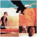 cover: Dj Sakin & Friends - Nomansland (David's Song)