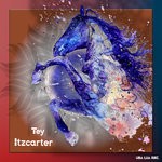 cover: Itzcarter - Tey