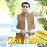 cover: Shah Farooq - Stargi Che Mre Mre Gharawe