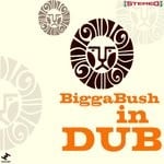 cover: Biggabush - Biggabush In Dub