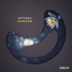 cover: Section303 - Sonder