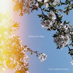 cover: Fells|Kimmie Devereux - Tell Me It's Okay