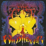 cover: The Cult - Wild Flower