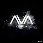 cover: Kanallia - Lily (Extended Mix)