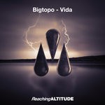 cover: Bigtopo - Vida