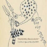 cover: Devendra Banhart - Little Yellow Spider