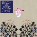 cover: Devendra Banhart - Smokey Rolls Down Thunder Canyon