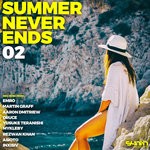 cover: Various - Summer Never Ends 02