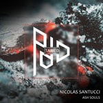 cover: Nicolas Santucci - Ash Souls