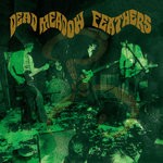 cover: Dead Meadow - Feathers