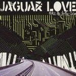 cover: Jaguar Love - Take Me To The Sea