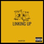 cover: Madfish - Linking Up