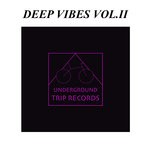 cover: Marcos Lazarte|Various - Deep Vibes Vol II